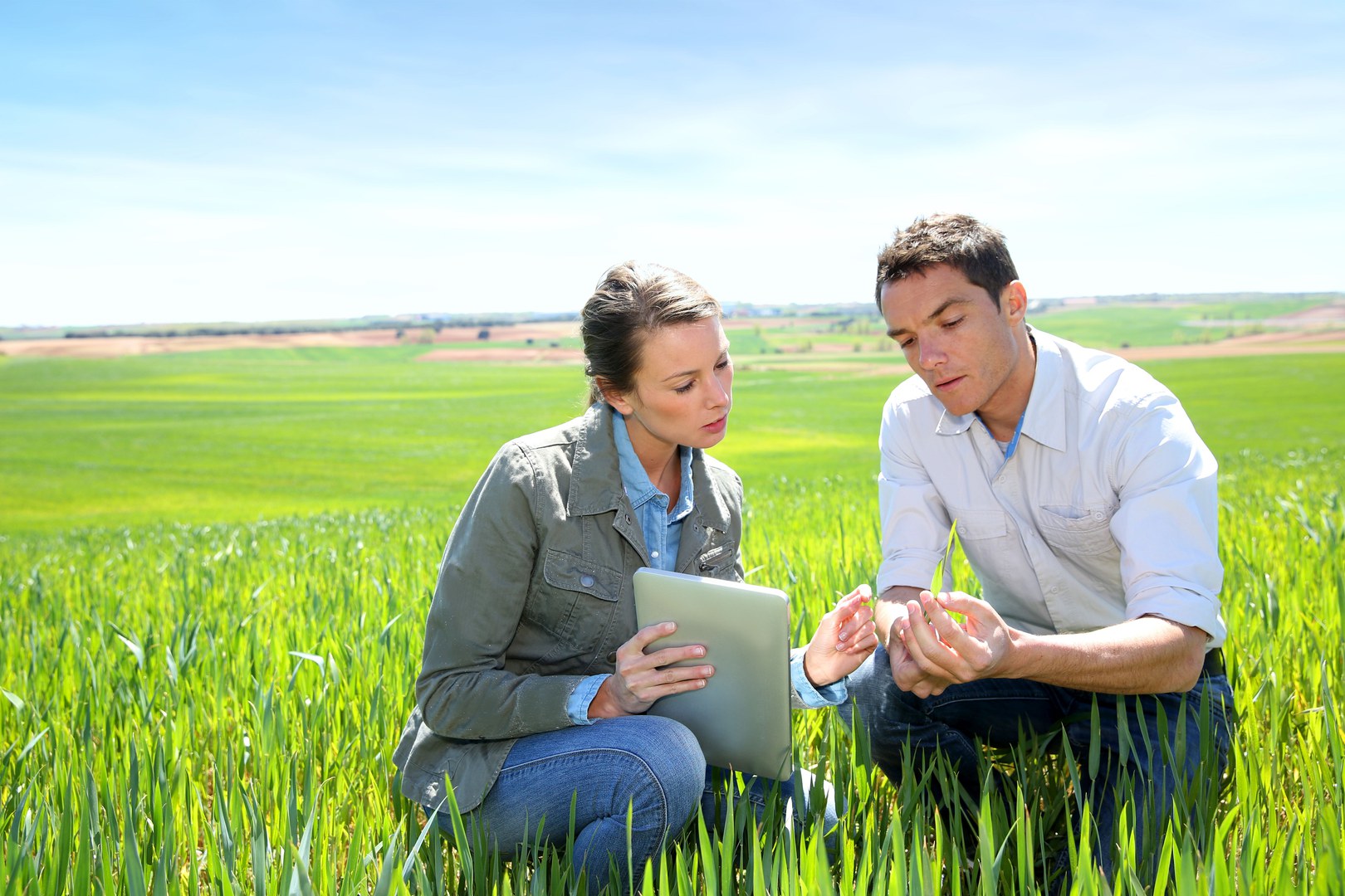 Two scientists in a field