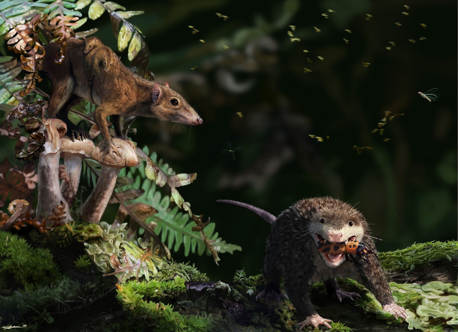 Life reconstruction of two coexisting species from the Late Jurassic period in Portugal, showing aspects of their life history.