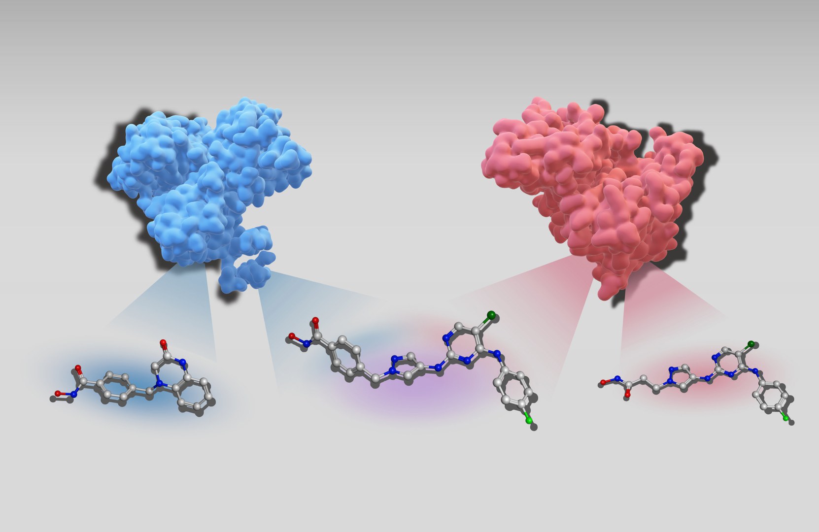 Three-dimensional structures of two target proteins,