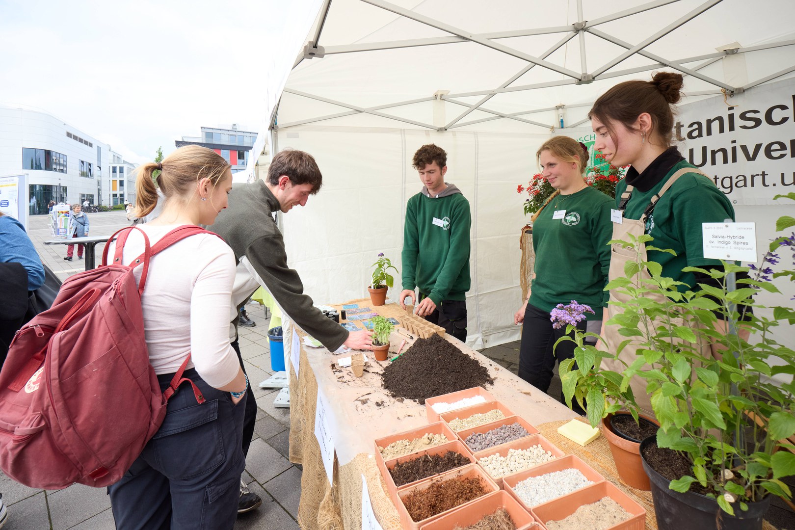 Visitors to the Botanic Garden’s stall were able to pick seedlings and take them home